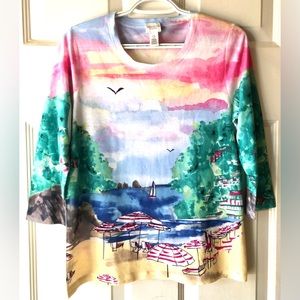 Weekends by Chico’s Cove Resort Scene Colorful 3/4 Slv Knit Top Size 0 (4) Small